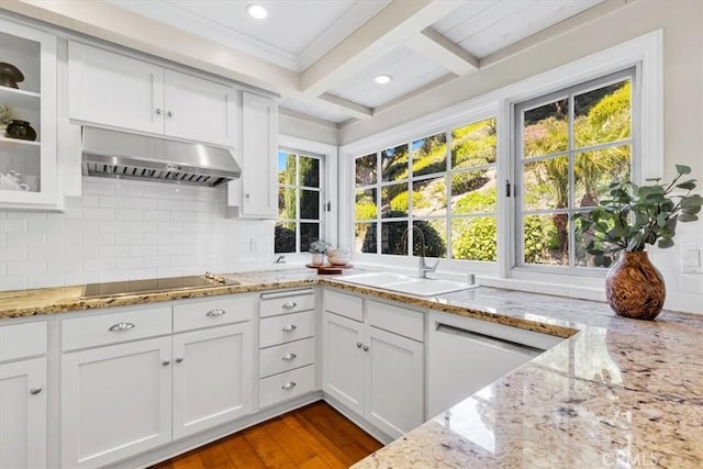33972 Cape Cv, Dana Point, CA 92629 - kitchen with tasteful backsplash, black electric stovetop, under cabinet range hood, white cabinets, and a sink