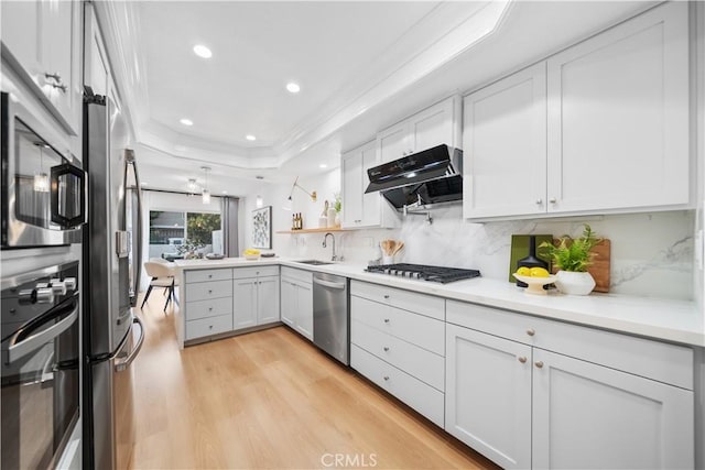 kitchen with under cabinet range hood, light wood-style floors, stainless steel appliances, a raised ceiling, and a sink