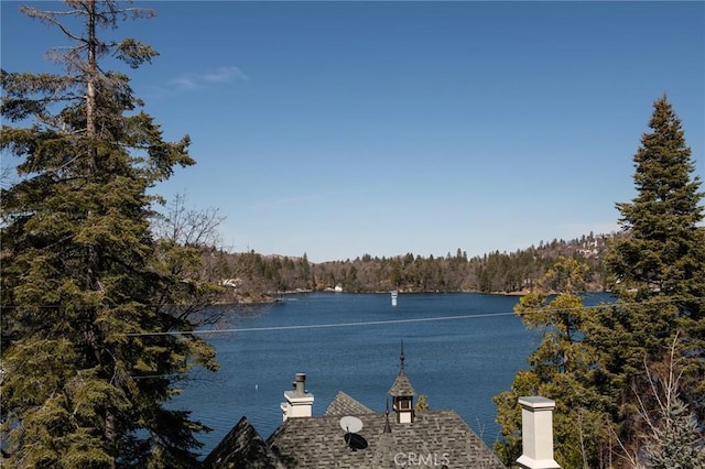water view with a wooded view