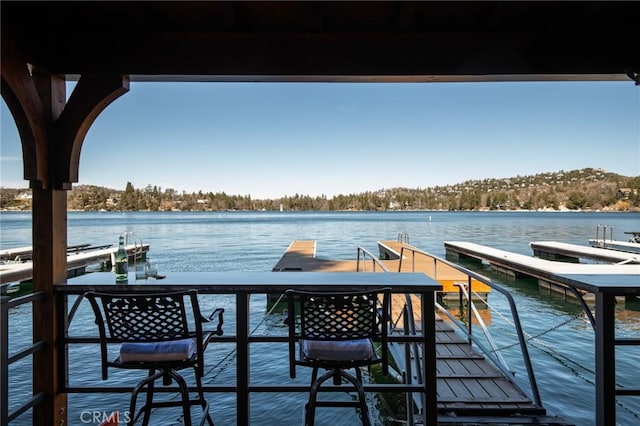dock area with a water view