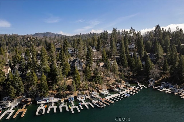 bird's eye view with a water view and a view of trees