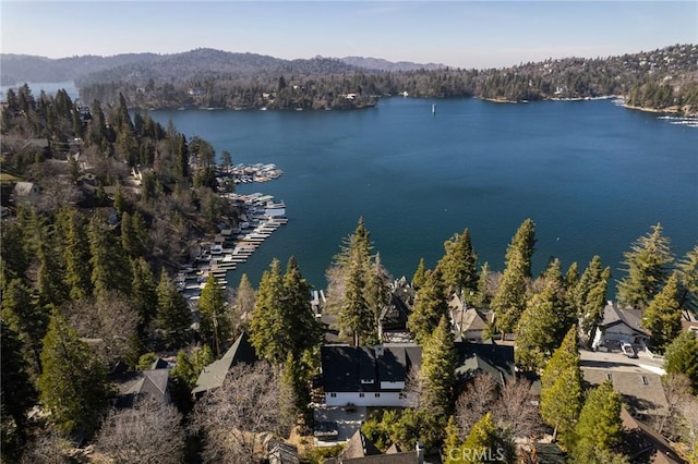 drone / aerial view featuring a water view and a wooded view