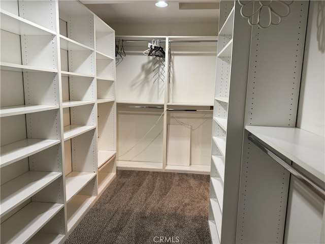 2440 Amelgado Dr, Hacienda Heights, CA 91745 - spacious closet with dark colored carpet