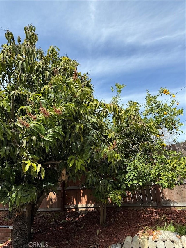 2440 Amelgado Dr, Hacienda Heights, CA 91745 - view of yard featuring fence