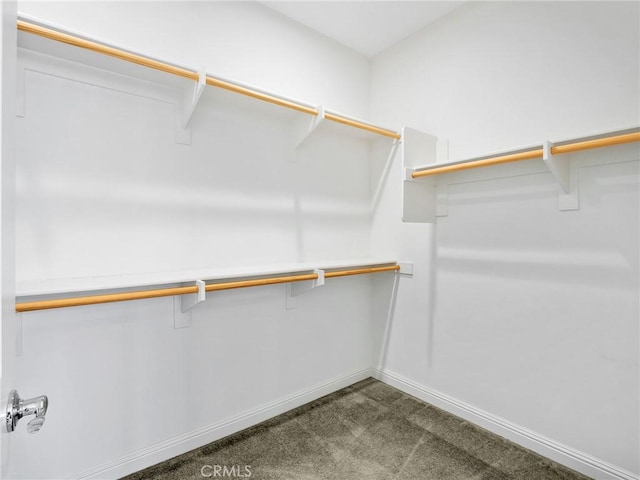 spacious closet featuring dark carpet