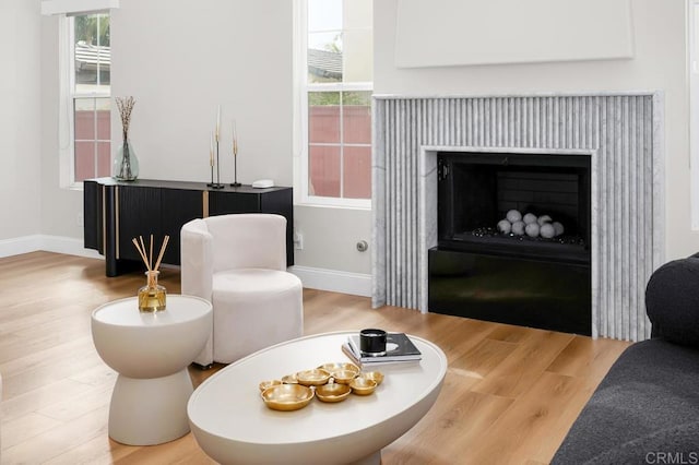 1452 Canoe Creek Way, Chula Vista, CA 91915 - living area with baseboards, wood finished floors, and a fireplace