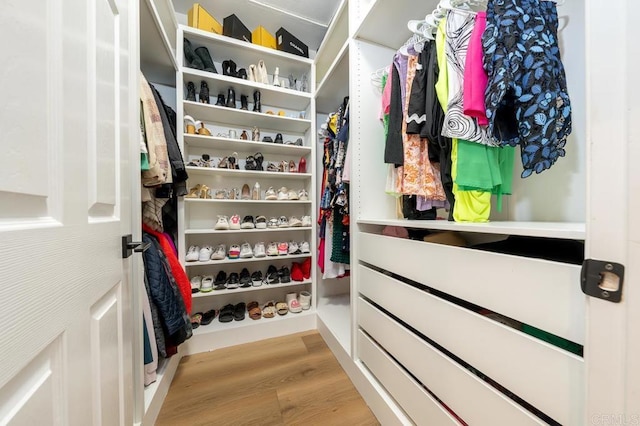 1452 Canoe Creek Way, Chula Vista, CA 91915 - spacious closet with light wood finished floors