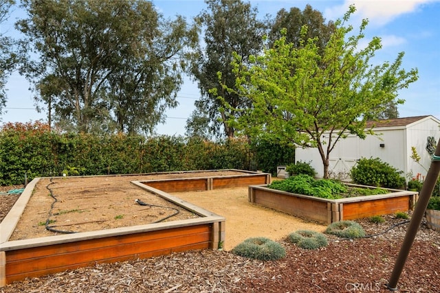 view of yard with a vegetable garden