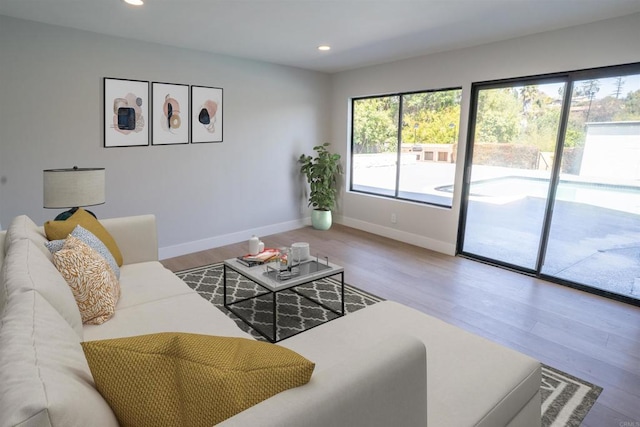 living room featuring baseboards, wood finished floors, and recessed lighting