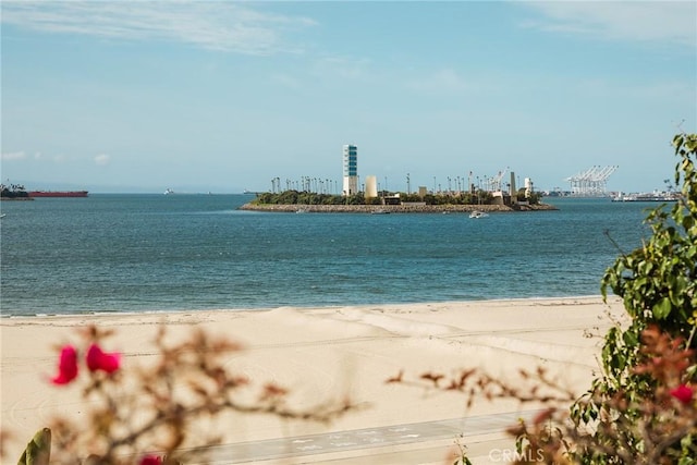 7 37th Pl, Long Beach, CA 90803 - photo 43