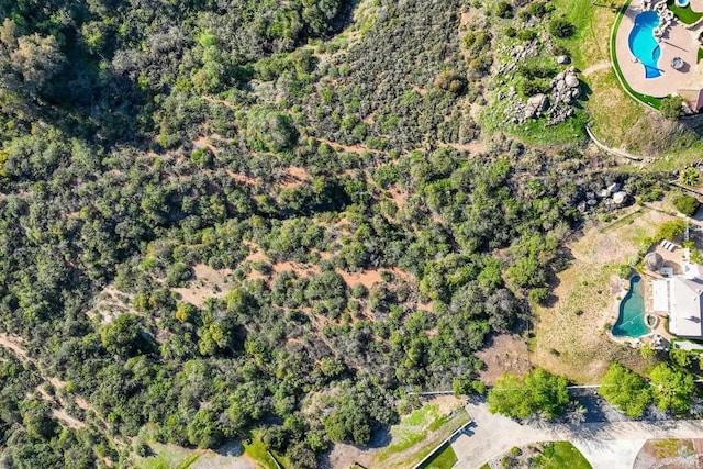 15881 Broad Oaks Rd, El Cajon, CA 92021 - view of property location with a pool area
