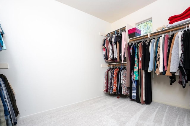 15881 Broad Oaks Rd, El Cajon, CA 92021 - walk in closet with carpet flooring