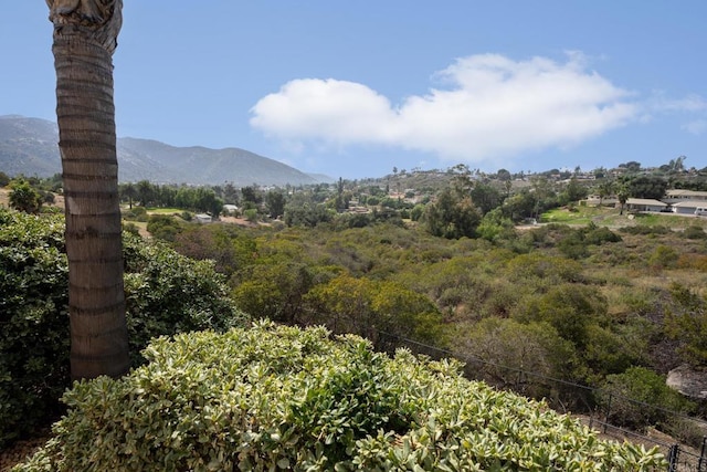 15881 Broad Oaks Rd, El Cajon, CA 92021 - view of mountain background