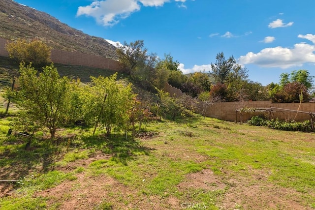 15793 Willow Dr, Fontana, CA 92337 - view of yard