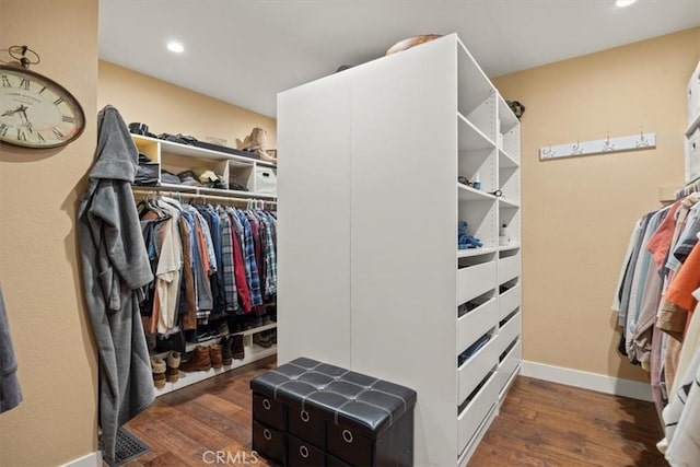 walk in closet featuring dark wood-style floors