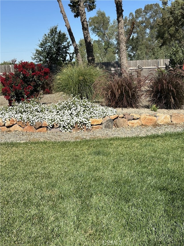 25050 Massachussetts Ave, Corning, CA 96021 - view of yard