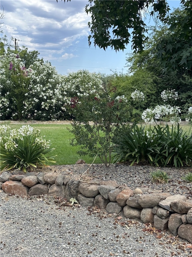 25050 Massachussetts Ave, Corning, CA 96021 - view of yard