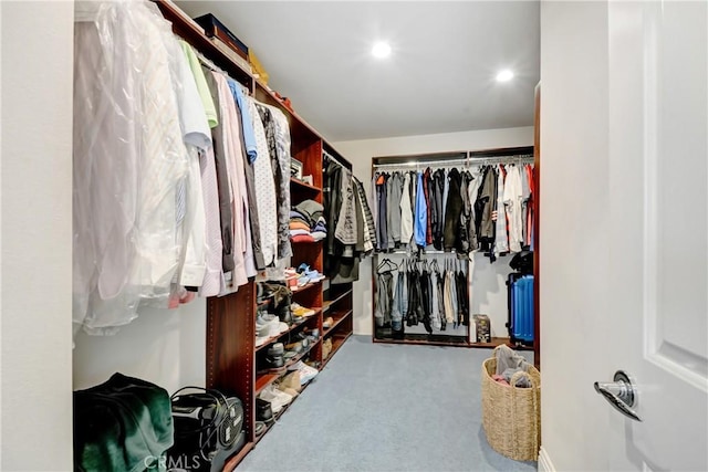 8345 Sunshine Ln, Riverside, CA 92508 - spacious closet with carpet