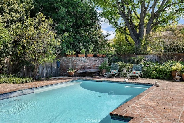 view of pool featuring a fenced backyard, a fenced in pool, and a patio