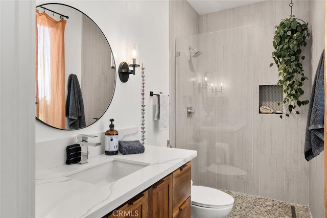 bathroom featuring toilet, vanity, and walk in shower