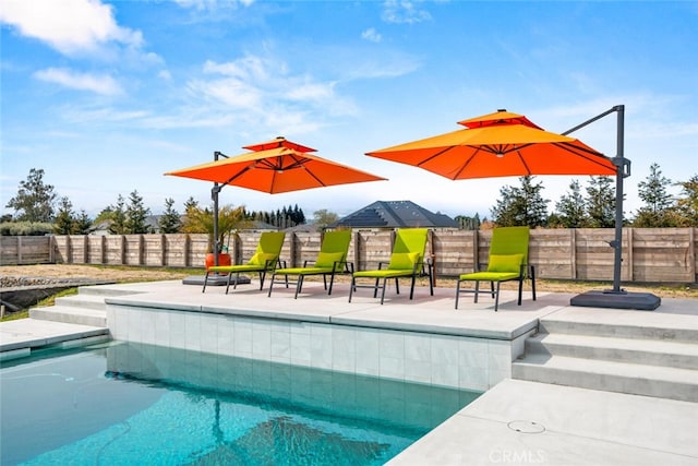 view of pool with a fenced backyard and a fenced in pool
