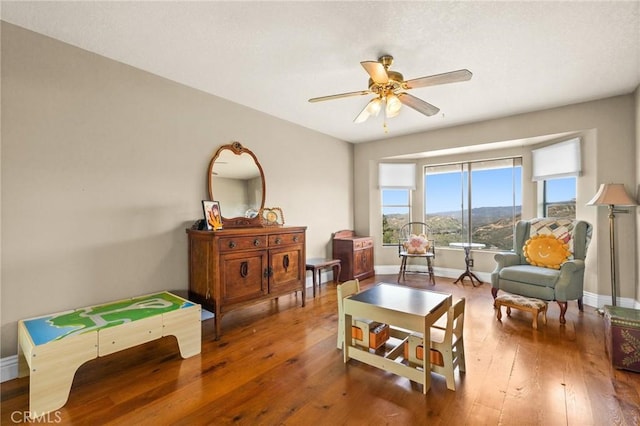 28061 Modjeska Grade, Modjeska Canyon, CA 92676 - living area featuring a ceiling fan and hardwood / wood-style flooring