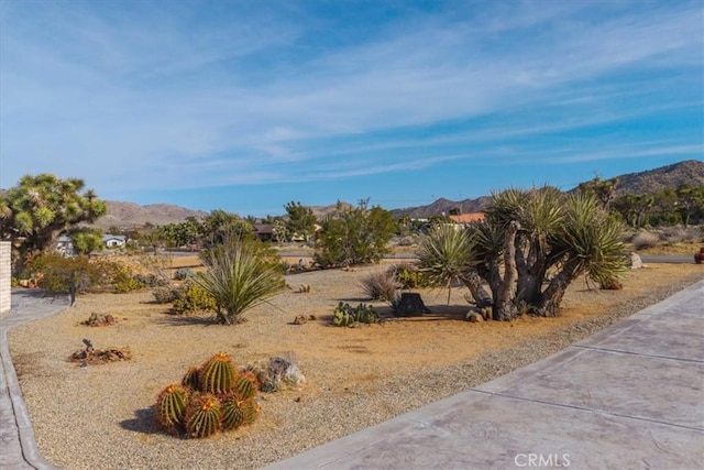 58573 Santa Maria Dr, Yucca Valley, CA 92284 - photo 55