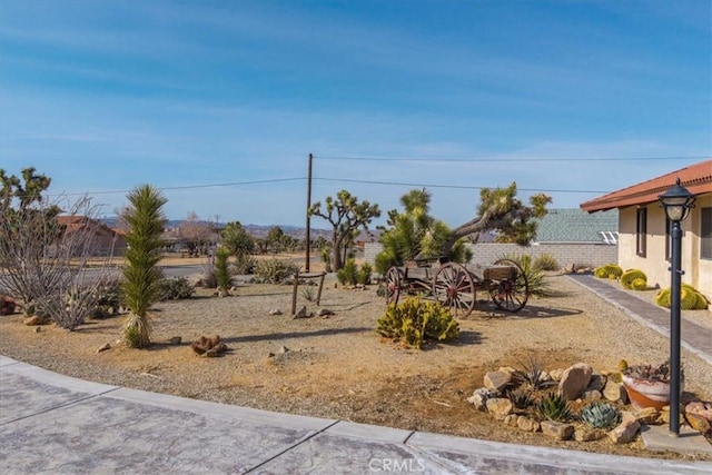 58573 Santa Maria Dr, Yucca Valley, CA 92284 - photo 54