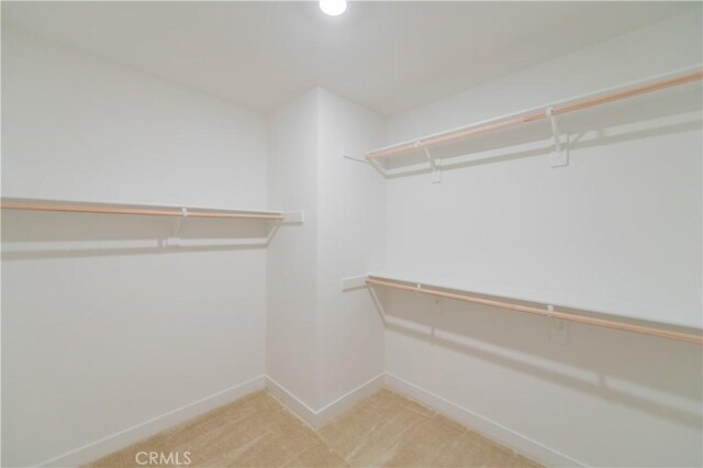 1406 Rivington, Irvine, CA 92612 - walk in closet featuring carpet floors