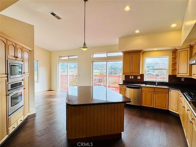 kitchen featuring a wealth of natural light, dark wood-style floors, appliances with stainless steel finishes, and a sink