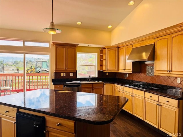 kitchen with tasteful backsplash, open shelves, wall chimney range hood, stainless steel appliances, and a sink