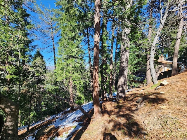 24200 Altdorf Dr, Crestline, CA 92325 - photo 14