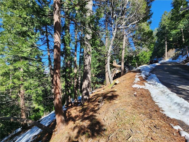 24200 Altdorf Dr, Crestline, CA 92325 - photo 15