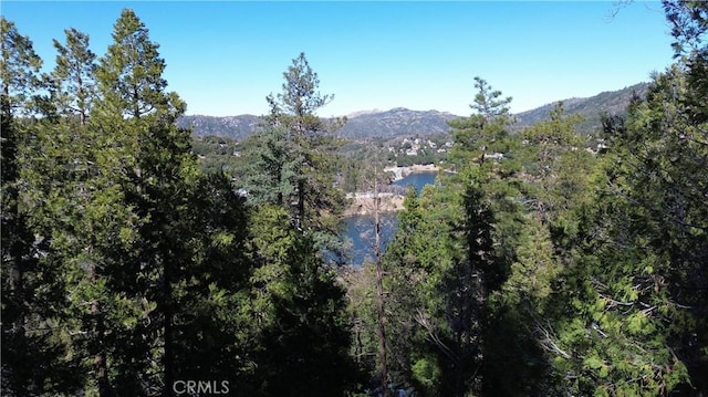 24200 Altdorf Dr, Crestline, CA 92325 - photo 7