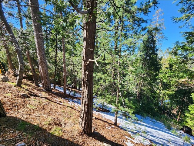 24200 Altdorf Dr, Crestline, CA 92325 - photo 5