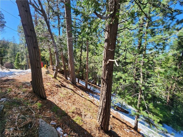 24200 Altdorf Dr, Crestline, CA 92325 - photo 19