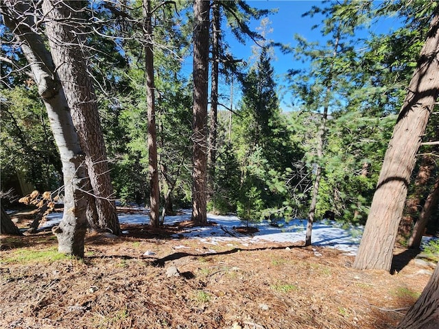 24200 Altdorf Dr, Crestline, CA 92325 - photo 6