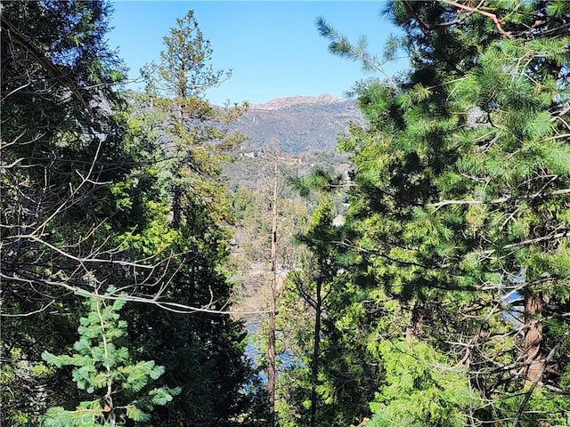 24200 Altdorf Dr, Crestline, CA 92325 - photo 11