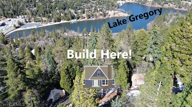24200 Altdorf Dr, Crestline, CA 92325 - photo 2