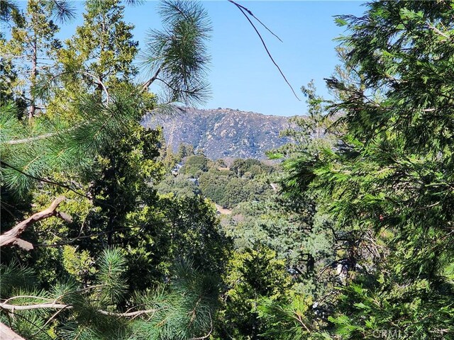 24200 Altdorf Dr, Crestline, CA 92325 - photo 10