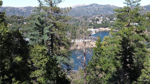24200 Altdorf Dr, Crestline, CA 92325 - photo 8