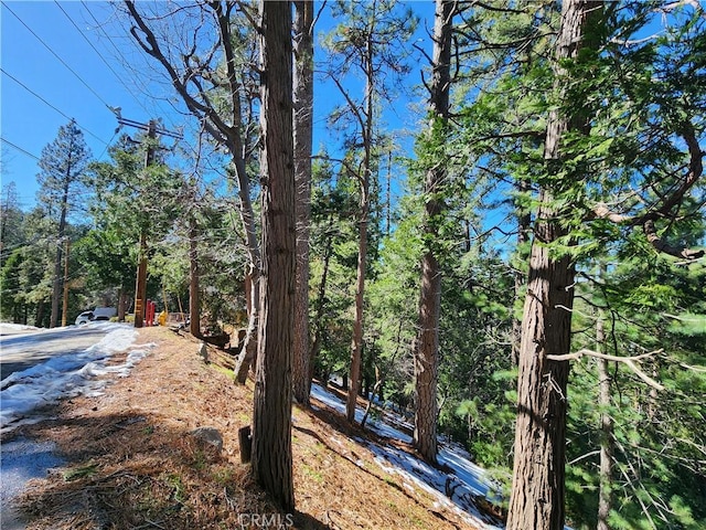 24200 Altdorf Dr, Crestline, CA 92325 - photo 21