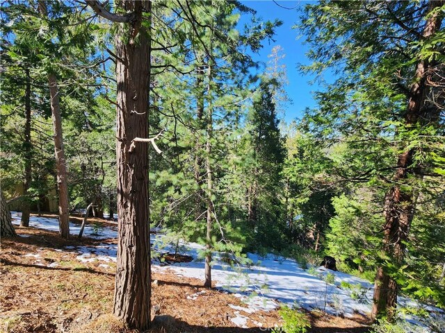 24200 Altdorf Dr, Crestline, CA 92325 - photo 20