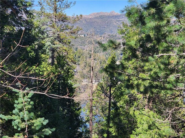 24200 Altdorf Dr, Crestline, CA 92325 - photo 12