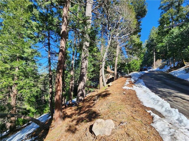 24200 Altdorf Dr, Crestline, CA 92325 - photo 16