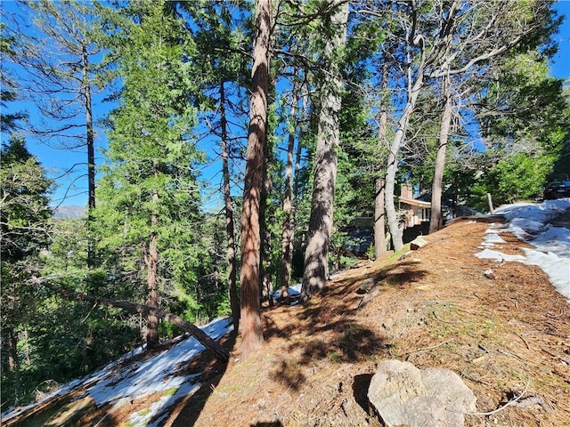 24200 Altdorf Dr, Crestline, CA 92325 - photo 17
