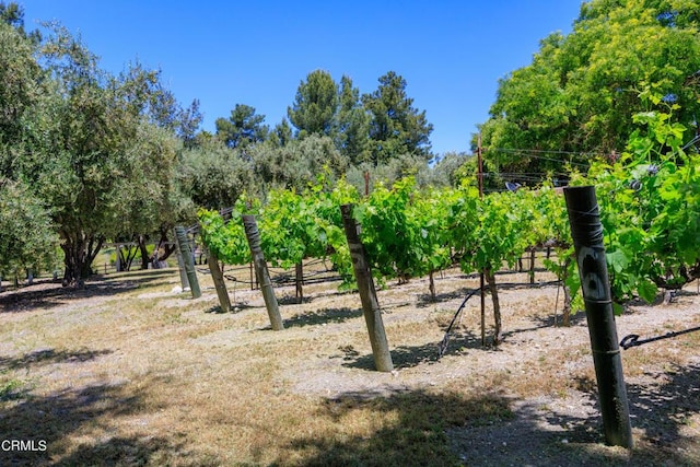 2851 Tapadero Rd, Solvang, CA 93463