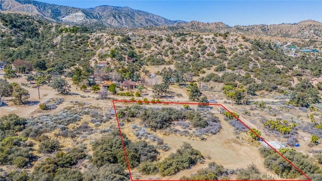 7371 Wild Horse Canyon Rd, Pinon Hills, CA 92372 - photo 5