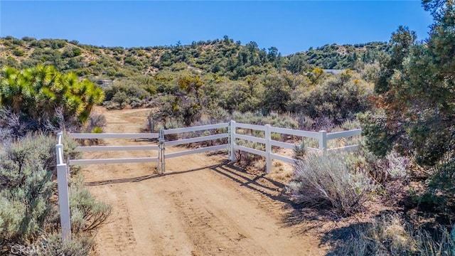7371 Wild Horse Canyon Rd, Pinon Hills, CA 92372 - photo 1