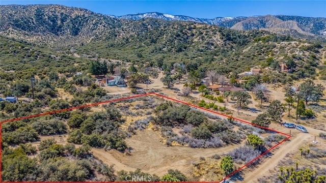 7371 Wild Horse Canyon Rd, Pinon Hills, CA 92372 - photo 4